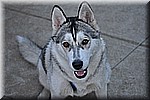 dsc_0111.JPG