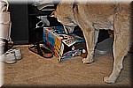 dsc_0129.JPG