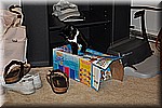dsc_0132.JPG