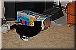 dsc_0134.JPG