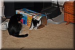 dsc_0135.JPG