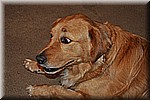 dsc_0137.JPG