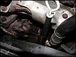 P8291528.JPG
